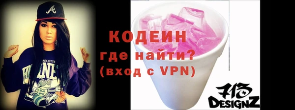 индика Новодвинск