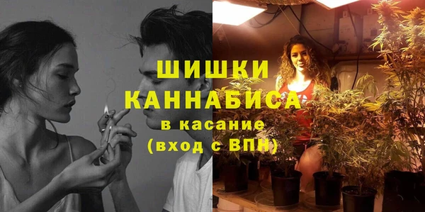 индика Белокуриха