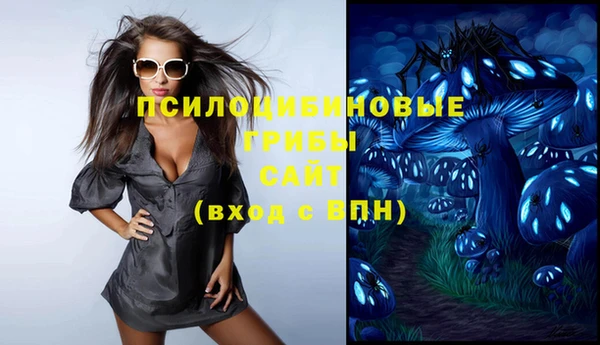 стафф Бородино